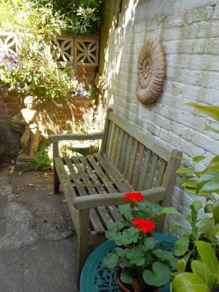 Outside the Kitchen Door -- my favourite place for peaceful contemplation