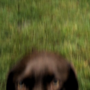 UncooperativePhotoshoot1