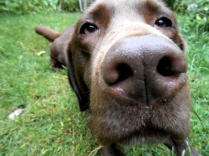 UncooperativePhotoshoot2