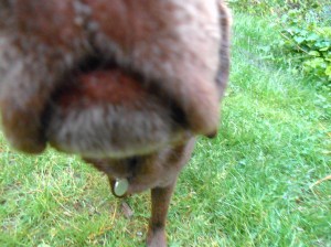 UncooperativePhotoshoot3