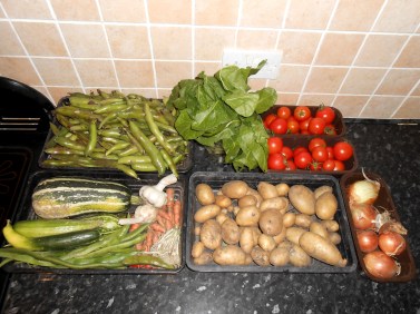 AllotmentHarvestSeptember