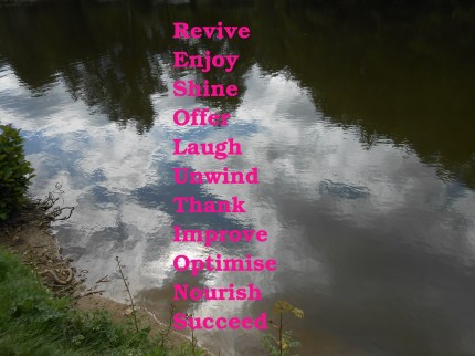 NewYearResolutions2014