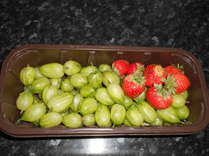 Gooseberries&Strawberries