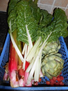 Rhubarb&GlobeArtichokes