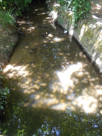 River near Quarr Abbey