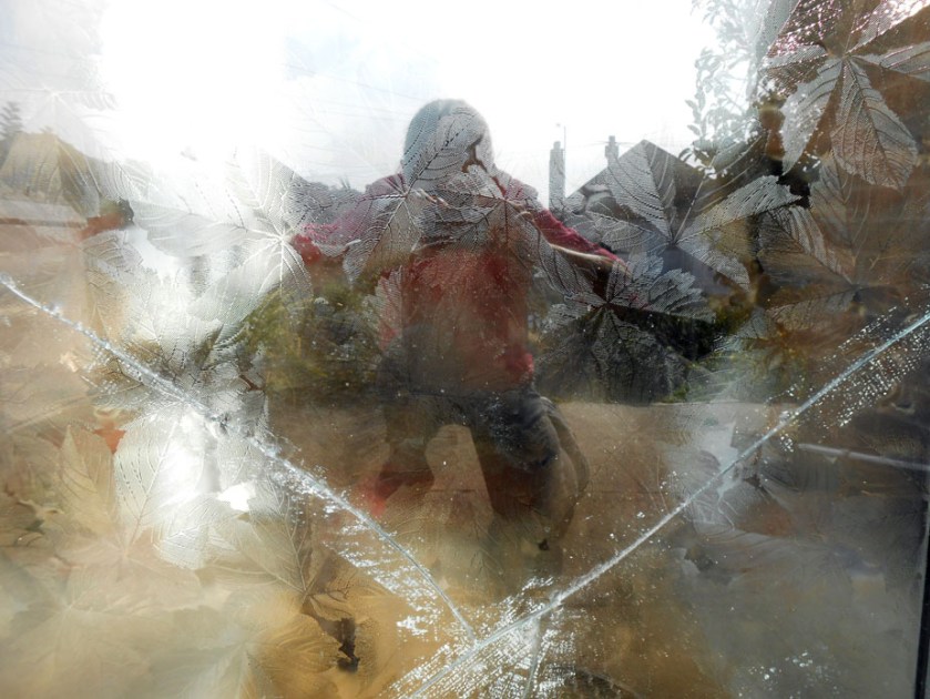 Monster Behind Broken Glass