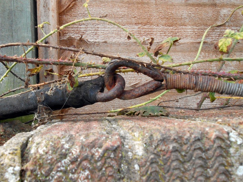 Iron Hook & Ring (Fencing)