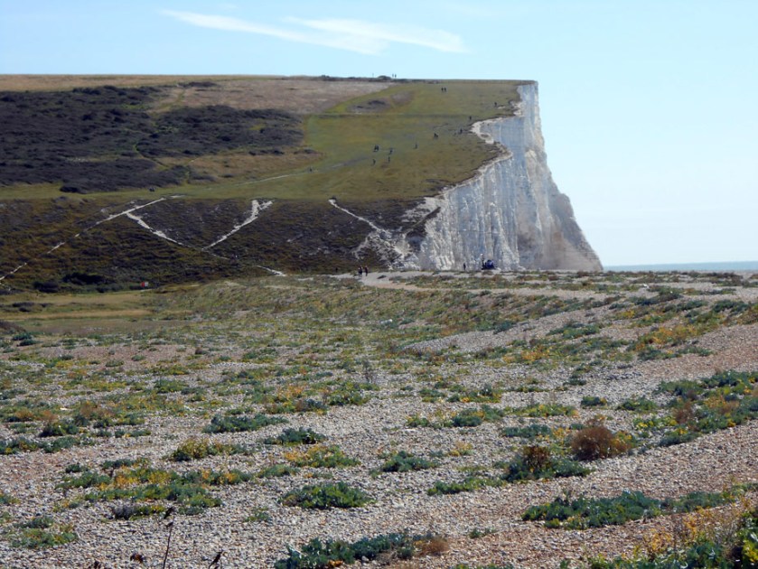 Cuckmere Haven Clifftops