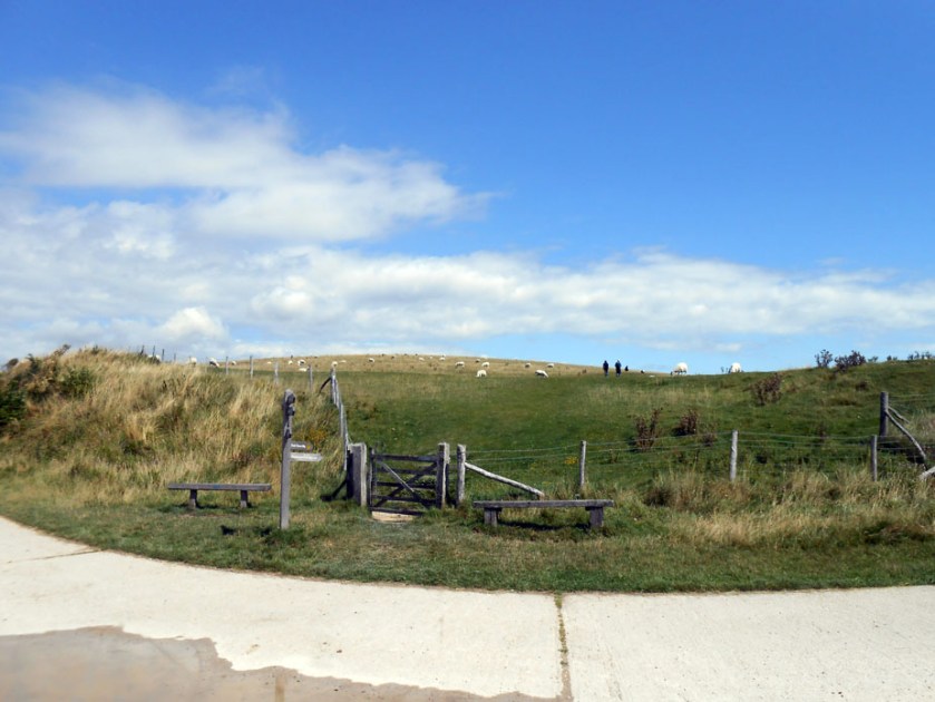 South Downs - Cuckmere
