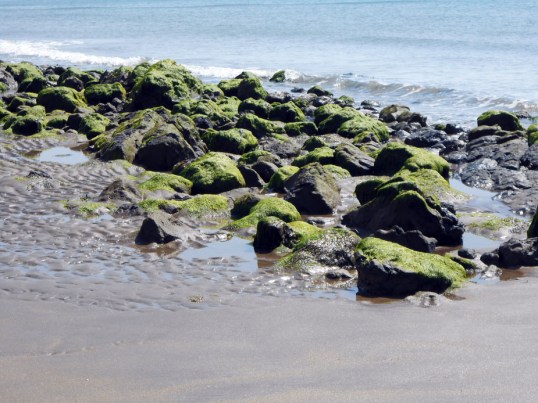 Rocks at lowtide