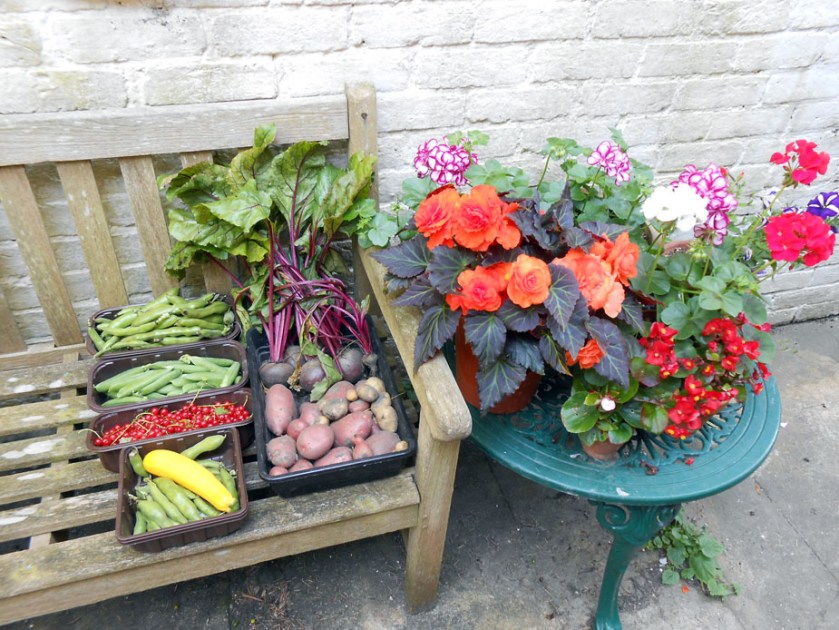 Sunny July's Allotment Produce & Garden Flowers