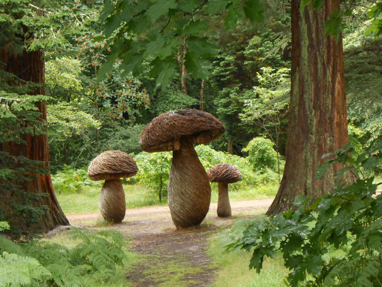 Giant Mushrooms